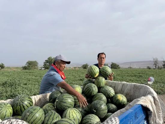 西藏扎西枫丹娱乐吃瓜,吃瓜群众眼中的神秘娱乐王国 第1张 西藏扎西枫丹娱乐吃瓜,吃瓜群众眼中的神秘娱乐王国 第1张