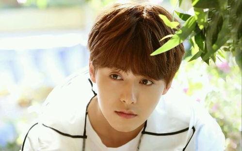 爆料马天宇的人是谁呀视频,真相背后引热议  第1张